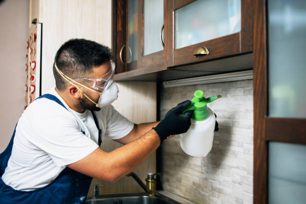 Pest Control for Restaurants in Rollingwood, TX